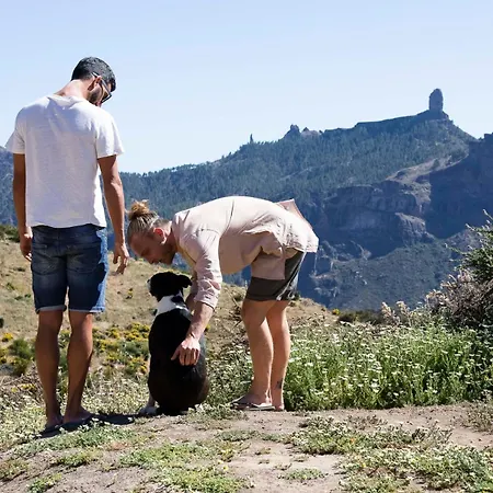La Buhardilla Del Refugio * Tejeda (Gran Canaria)